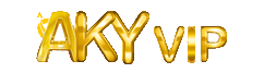 Antalya AKY Vip Transfer
